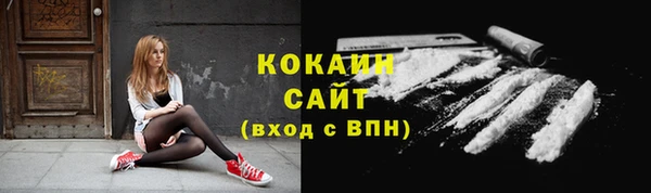 стаф Каменногорск