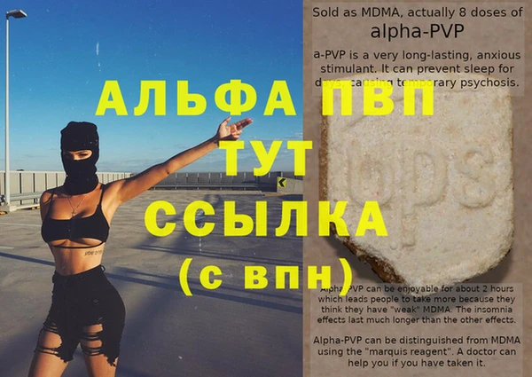 стаф Каменногорск