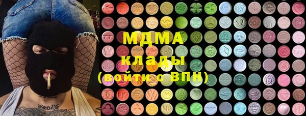 прущие грибы Инсар