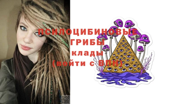 стаф Каменногорск