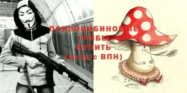 стаф Каменногорск