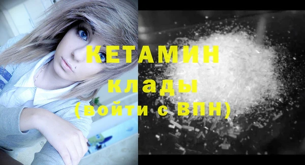 стаф Каменногорск