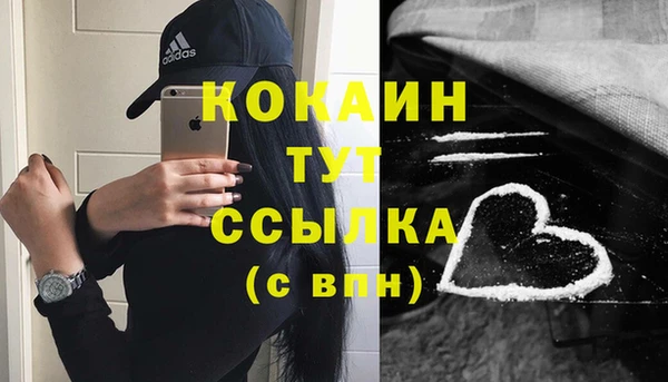 стаф Каменногорск